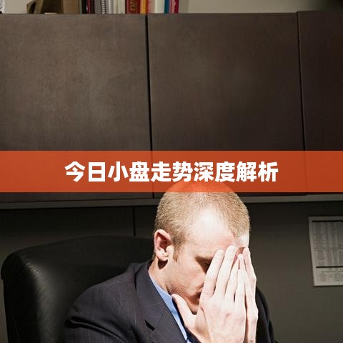 今日小盘走势深度解析