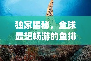 独家揭秘，全球最想畅游的鱼排名榜！