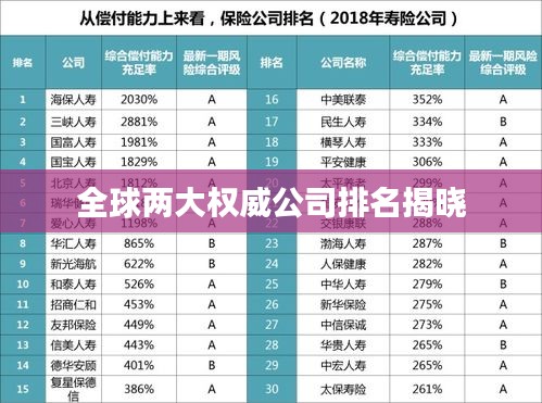 全球两大权威公司排名揭晓