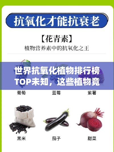 世界抗氧化植物排行榜TOP未知，这些植物竟能抵抗衰老！