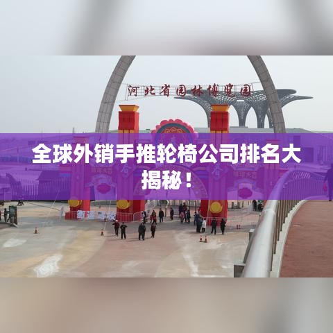 全球外销手推轮椅公司排名大揭秘！