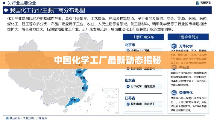 中国化学工厂最新动态揭秘
