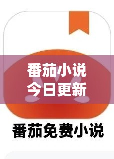 番茄小说今日更新动态速递