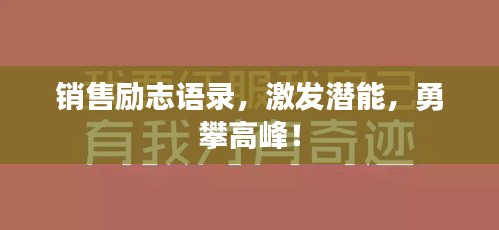 联系我们 第14页