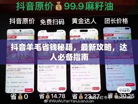 抖音羊毛省钱秘籍，最新攻略，达人必备指南
