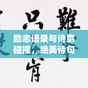 新闻中心 第12页