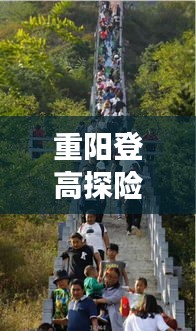 重阳登高探险，详细旅游攻略指南