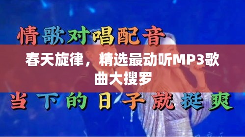 联系我们 第13页