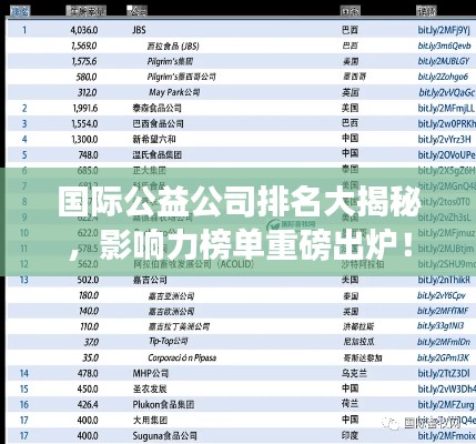 国际公益公司排名大揭秘，影响力榜单重磅出炉！