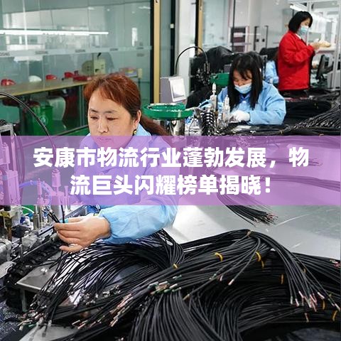 安康市物流行业蓬勃发展，物流巨头闪耀榜单揭晓！