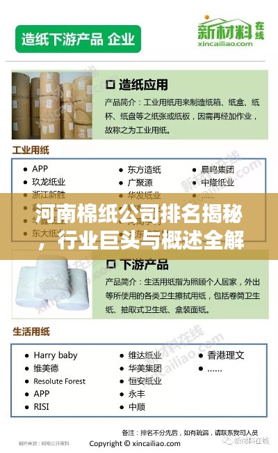 河南棉纸公司排名揭秘，行业巨头与概述全解析