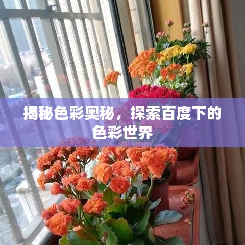 揭秘色彩奥秘，探索百度下的色彩世界