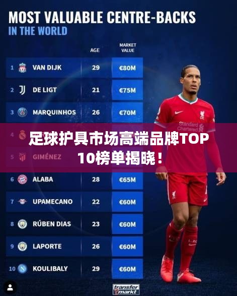 足球护具市场高端品牌TOP10榜单揭晓！