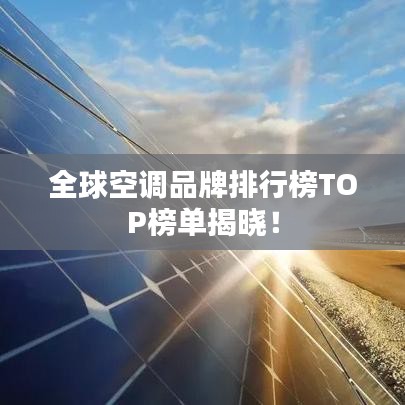 公司简介 第12页