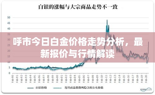 呼市今日白金价格走势分析，最新报价与行情解读
