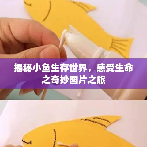 揭秘小鱼生存世界，感受生命之奇妙图片之旅