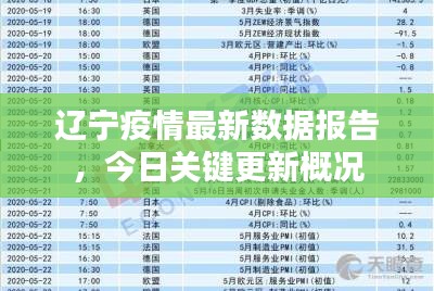 辽宁疫情最新数据报告，今日关键更新概况
