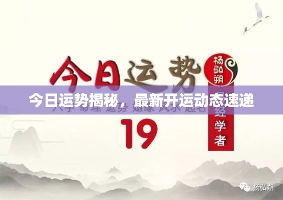 今日运势揭秘，最新开运动态速递