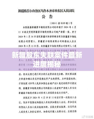 新疆股东失联案件最新进展揭秘