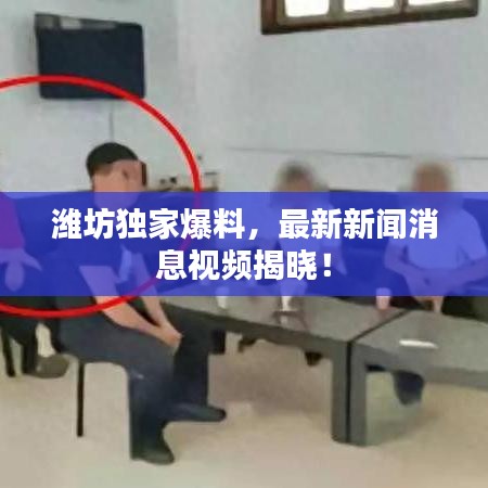 潍坊独家爆料，最新新闻消息视频揭晓！