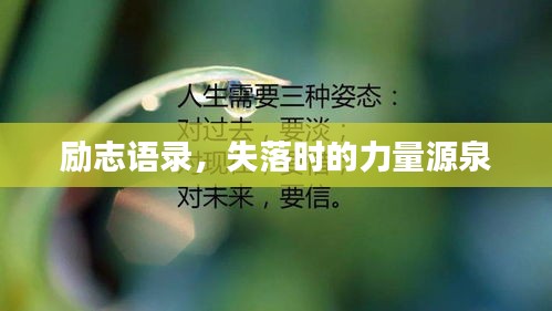 联系我们 第10页