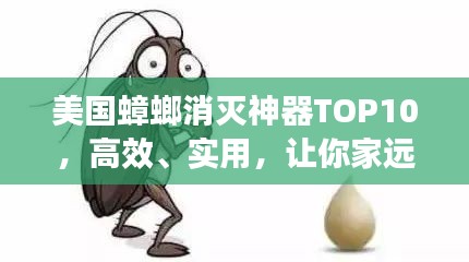 一本正经