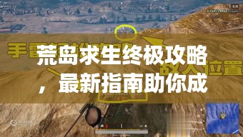 荒岛求生终极攻略，最新指南助你成功脱困求生路！
