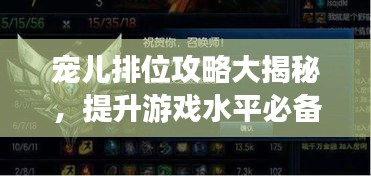 宠儿排位攻略大揭秘，提升游戏水平必备指南！