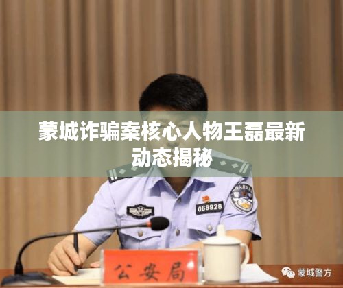 蒙城诈骗案核心人物王磊最新动态揭秘