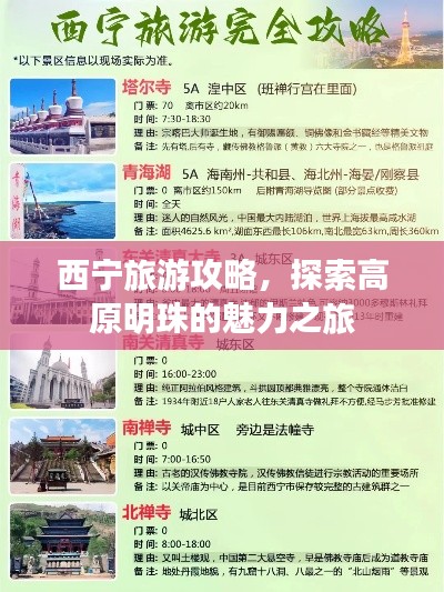 西宁旅游攻略，探索高原明珠的魅力之旅
