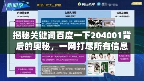 揭秘关键词百度一下204001背后的奥秘，一网打尽所有信息！