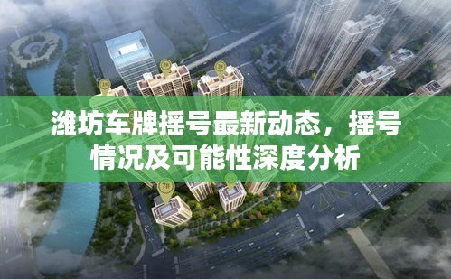 潍坊车牌摇号最新动态，摇号情况及可能性深度分析