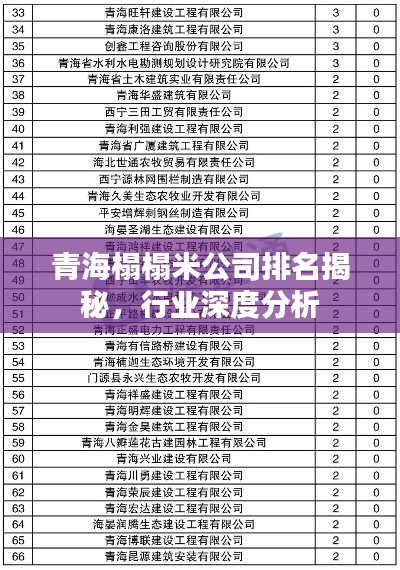 青海榻榻米公司排名揭秘，行业深度分析