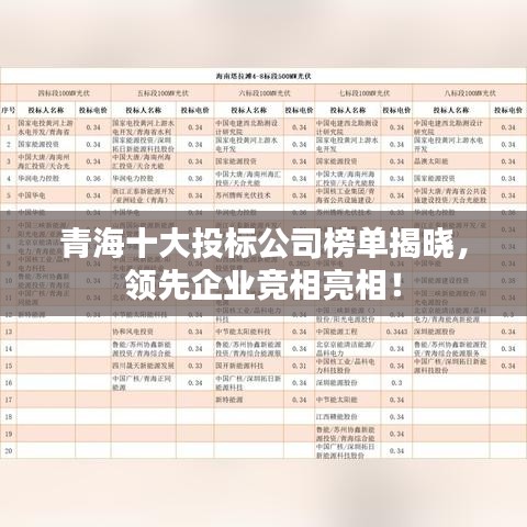 青海十大投标公司榜单揭晓，领先企业竞相亮相！