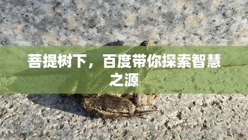 菩提树下，百度带你探索智慧之源
