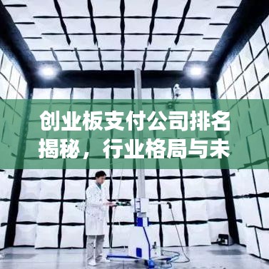 创业板支付公司排名揭秘，行业格局与未来趋势展望