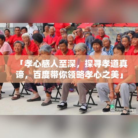 公司简介 第8页