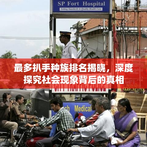 最多扒手种族排名揭晓，深度探究社会现象背后的真相