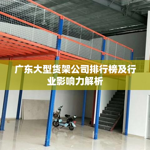广东大型货架公司排行榜及行业影响力解析