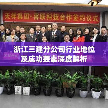 浙江三建分公司行业地位及成功要素深度解析
