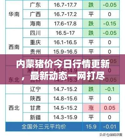 内蒙猪价今日行情更新，最新动态一网打尽