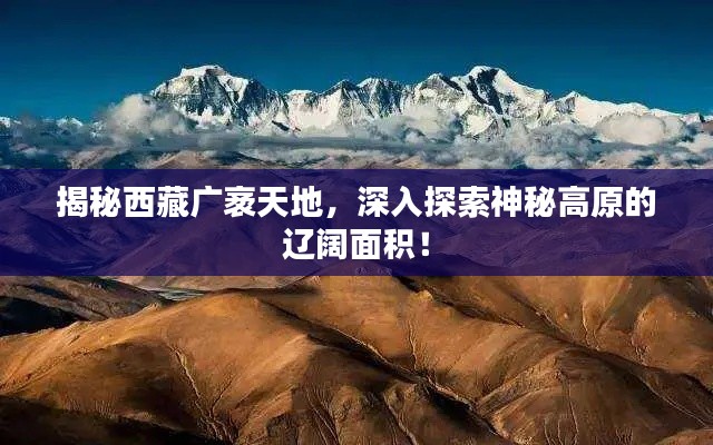 揭秘西藏广袤天地，深入探索神秘高原的辽阔面积！