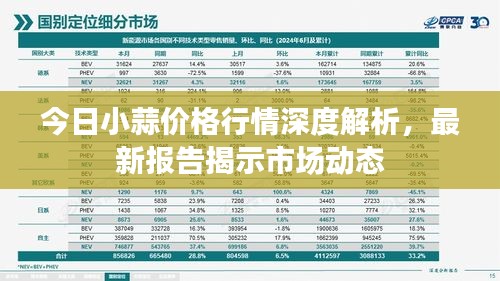 今日小蒜价格行情深度解析，最新报告揭示市场动态