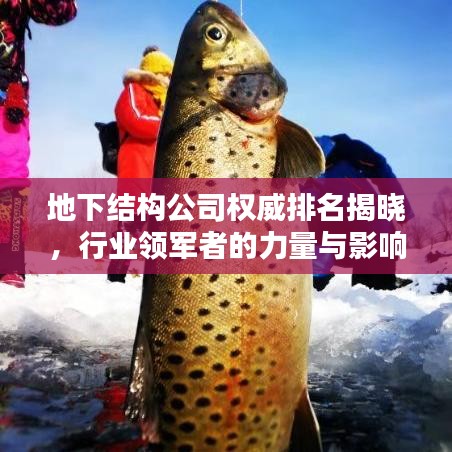 地下结构公司权威排名揭晓，行业领军者的力量与影响力榜单！