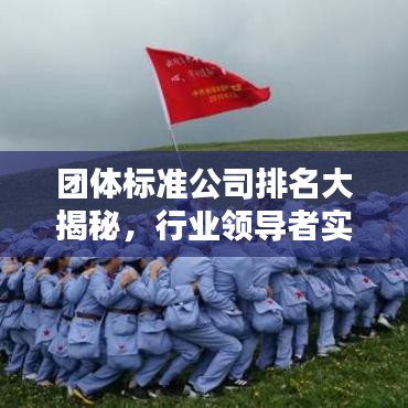 团体标准公司排名大揭秘，行业领导者实力榜
