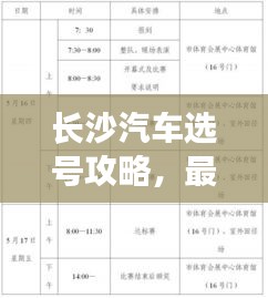 长沙汽车选号攻略，最新指南助你轻松选号！