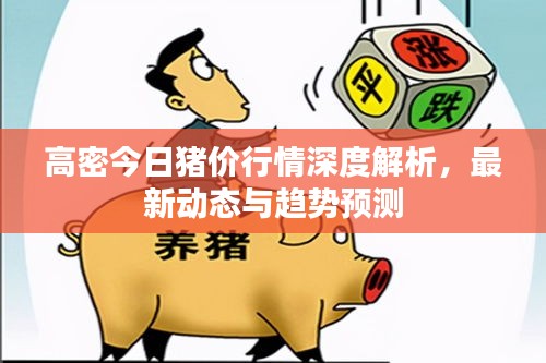 高密今日猪价行情深度解析，最新动态与趋势预测