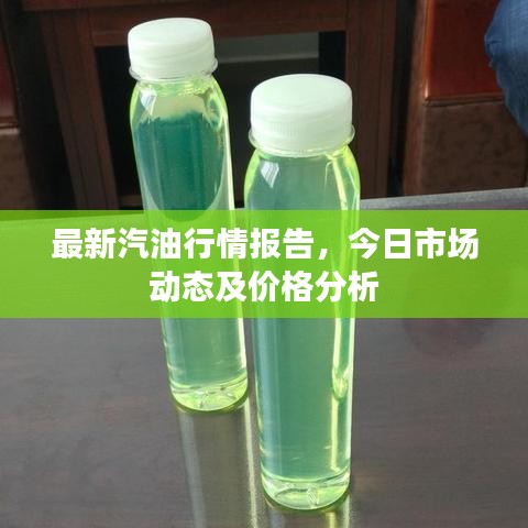 最新汽油行情报告，今日市场动态及价格分析