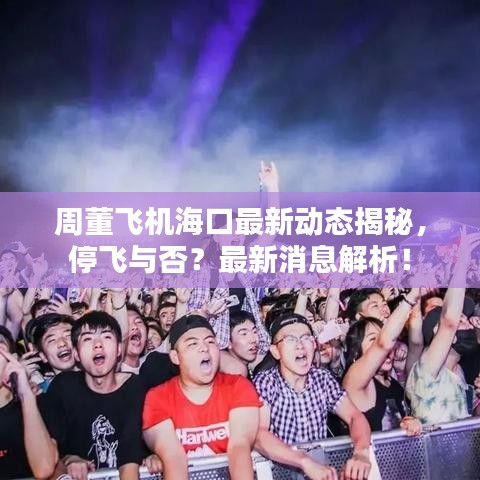 周董飞机海口最新动态揭秘，停飞与否？最新消息解析！