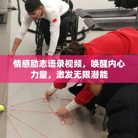 资料大全 第7页